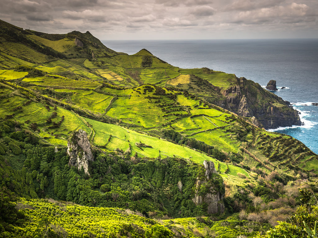 Flores landschap