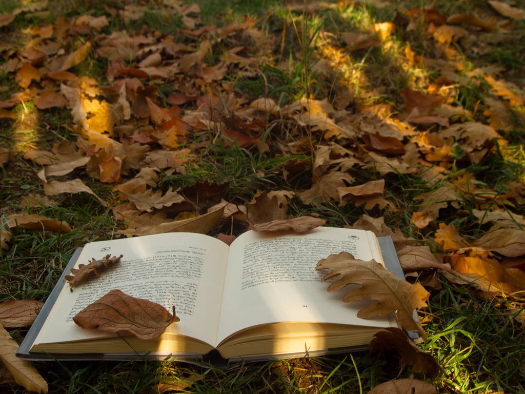 De leukste boeken over Madeira