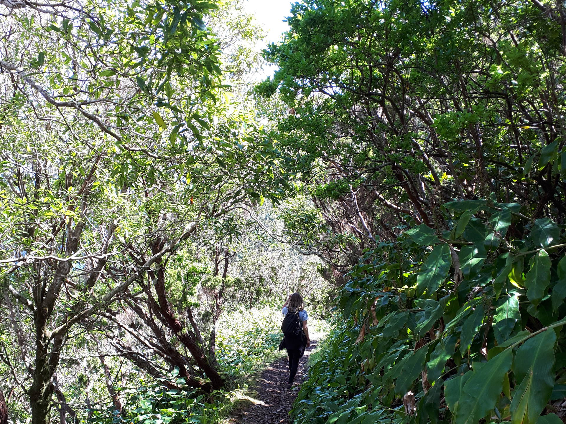 wandelen sao jorge