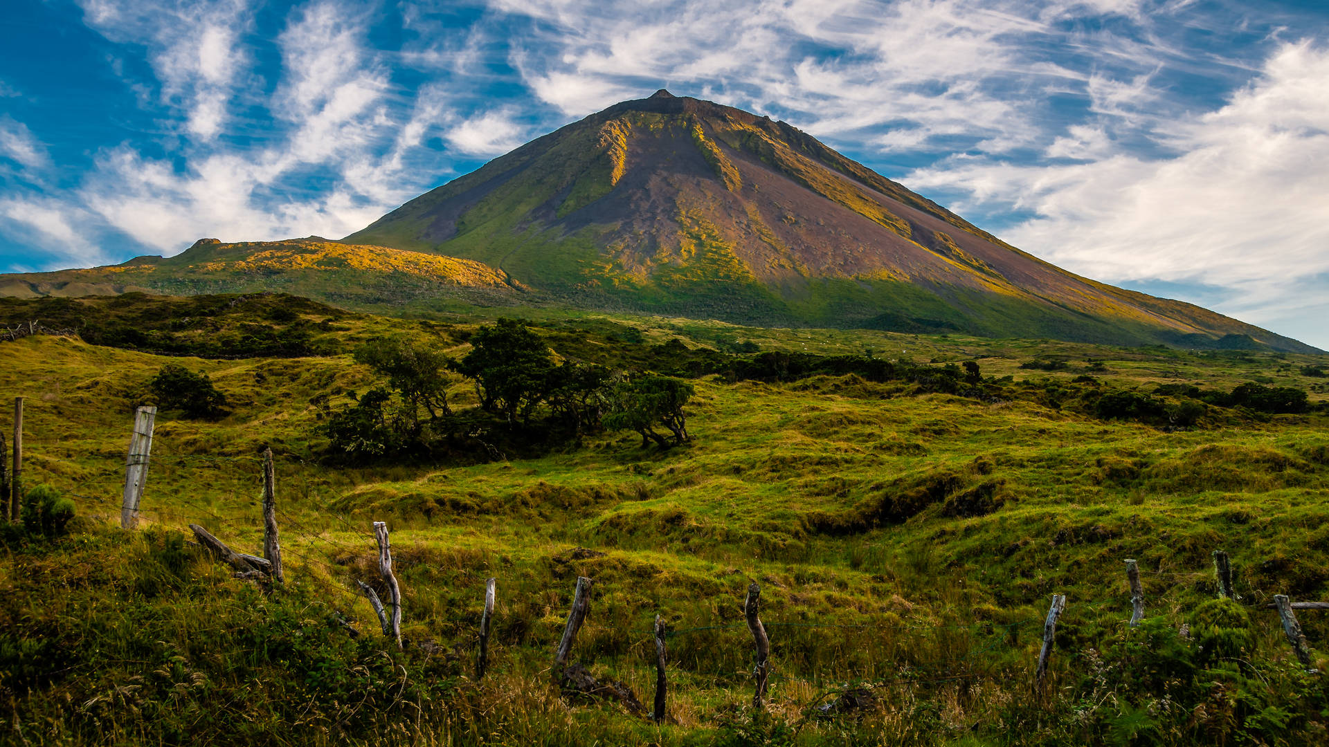 Pico vulkaan