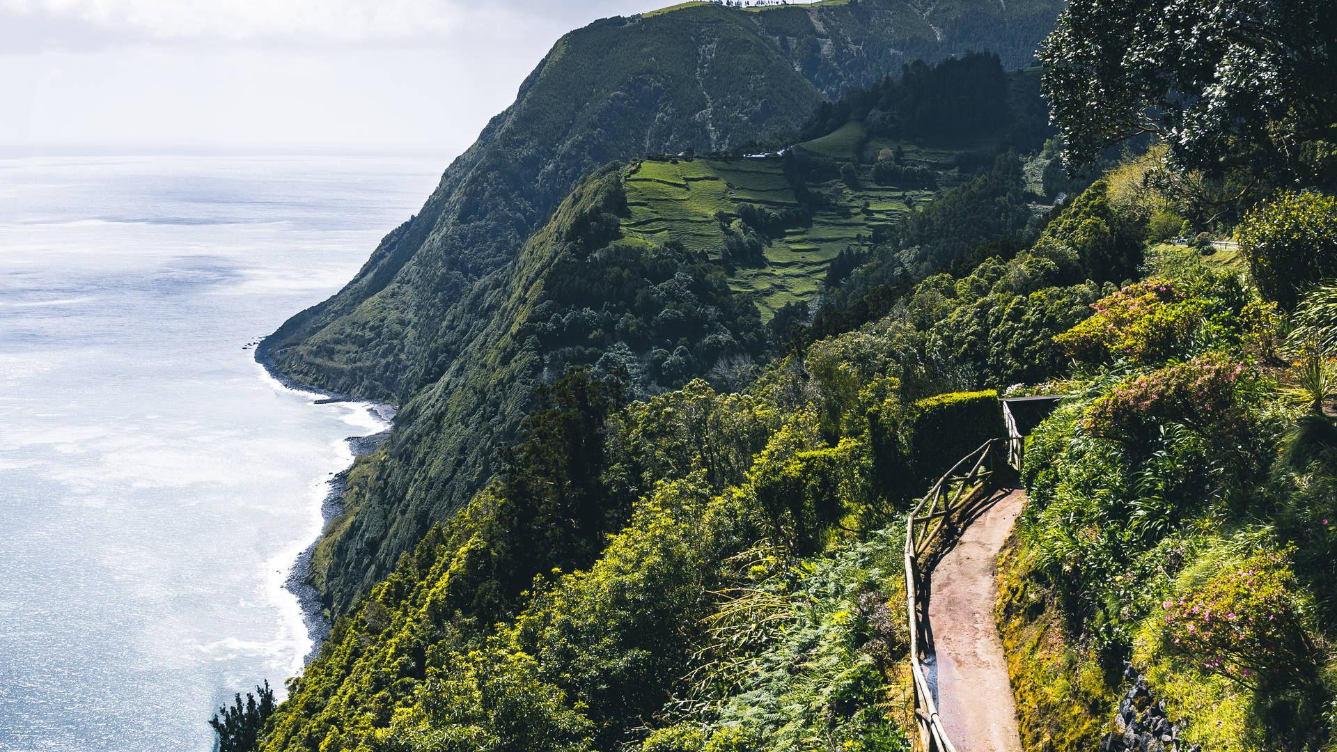 azoren sao miguel natuur