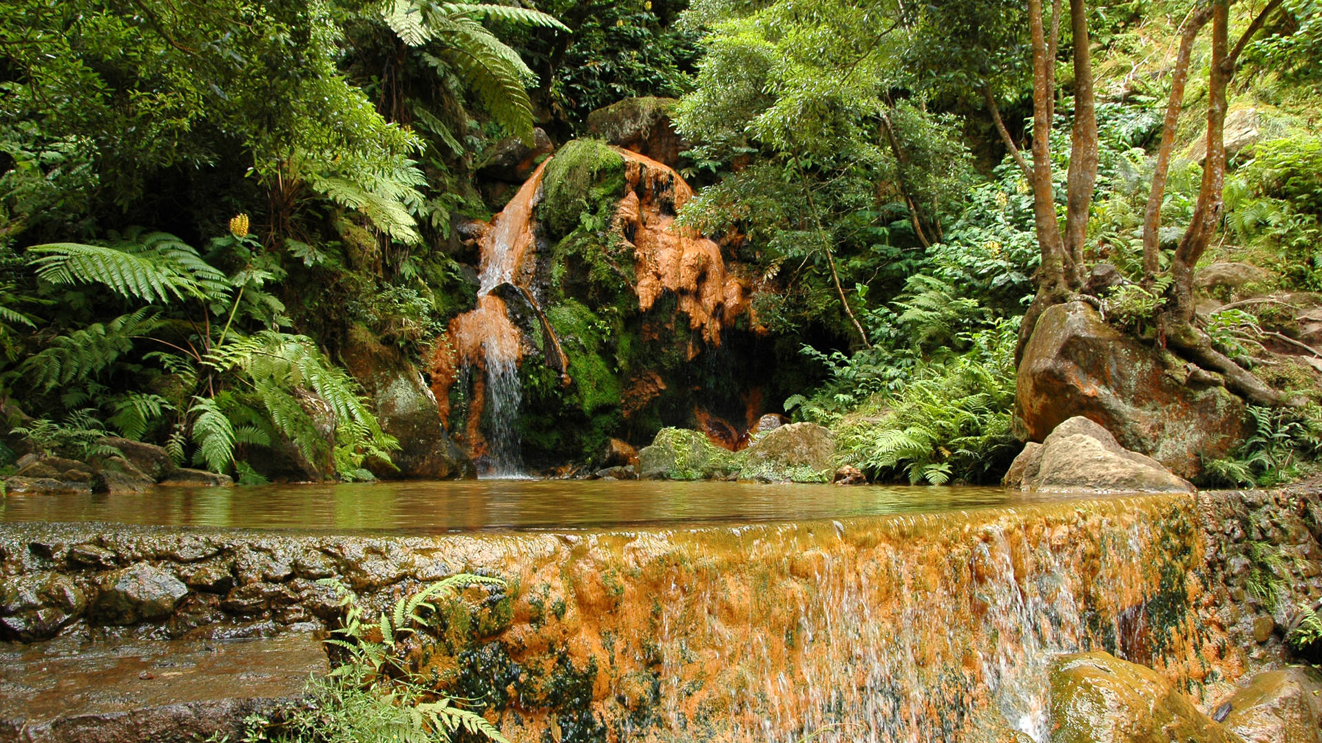 Ribeira Grande - natuur zwembad