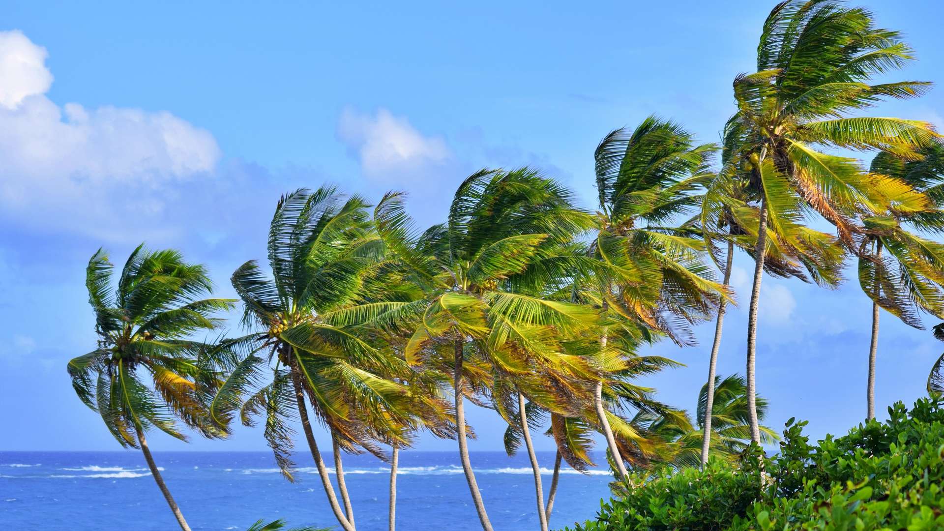 Barbados