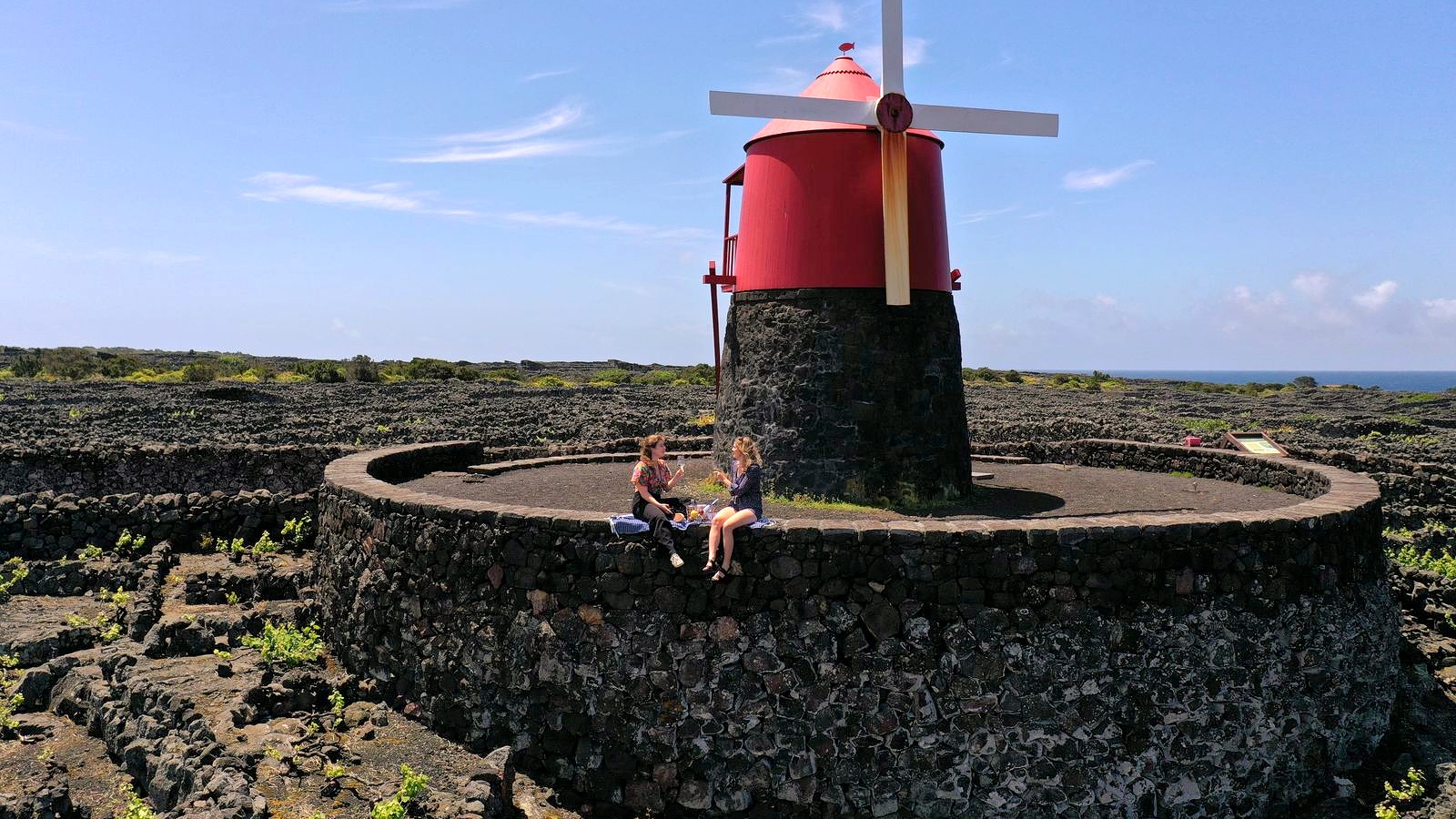 wijn en wijngaarden op pico