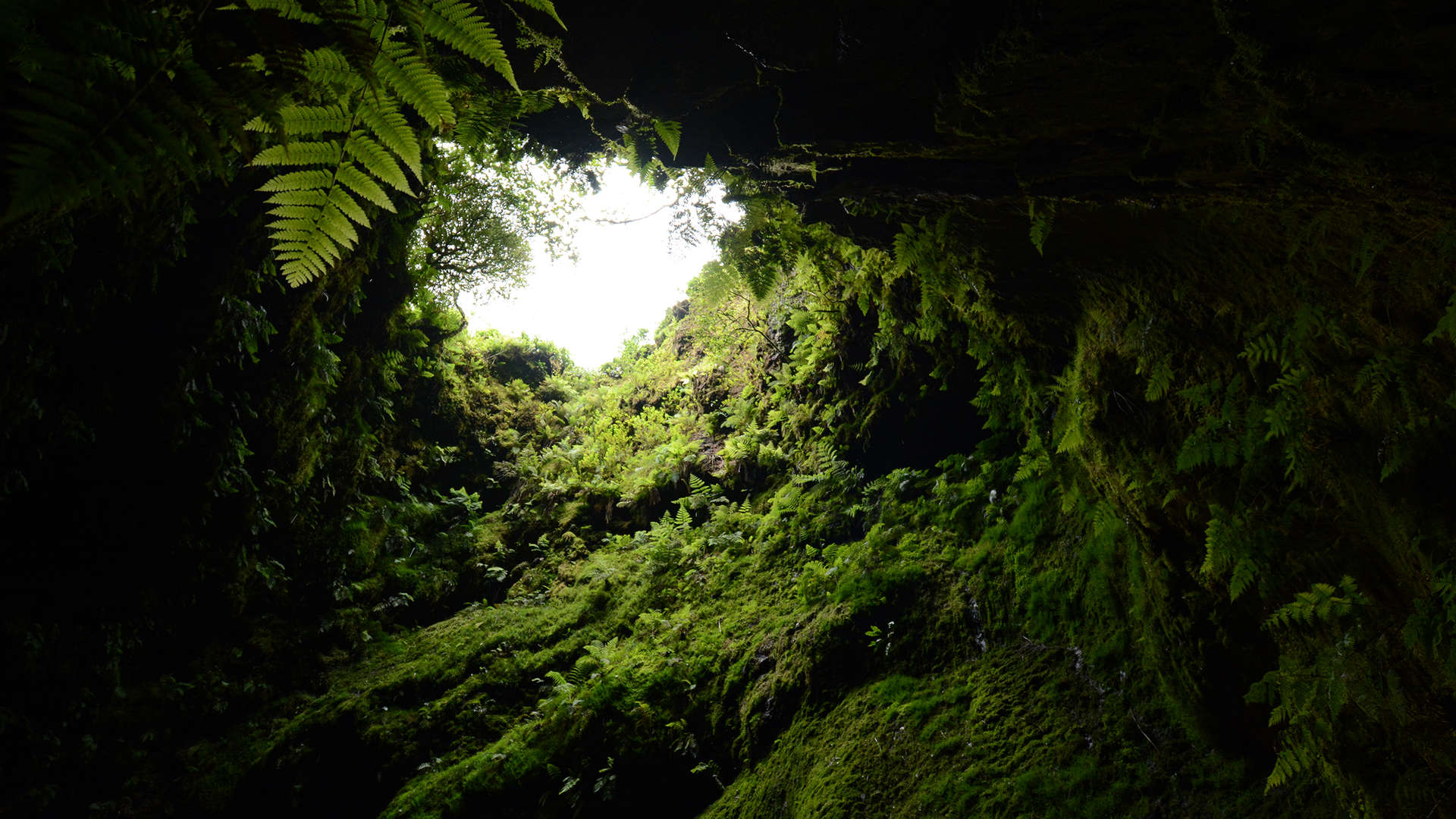 Algar do Carvao - Terceira