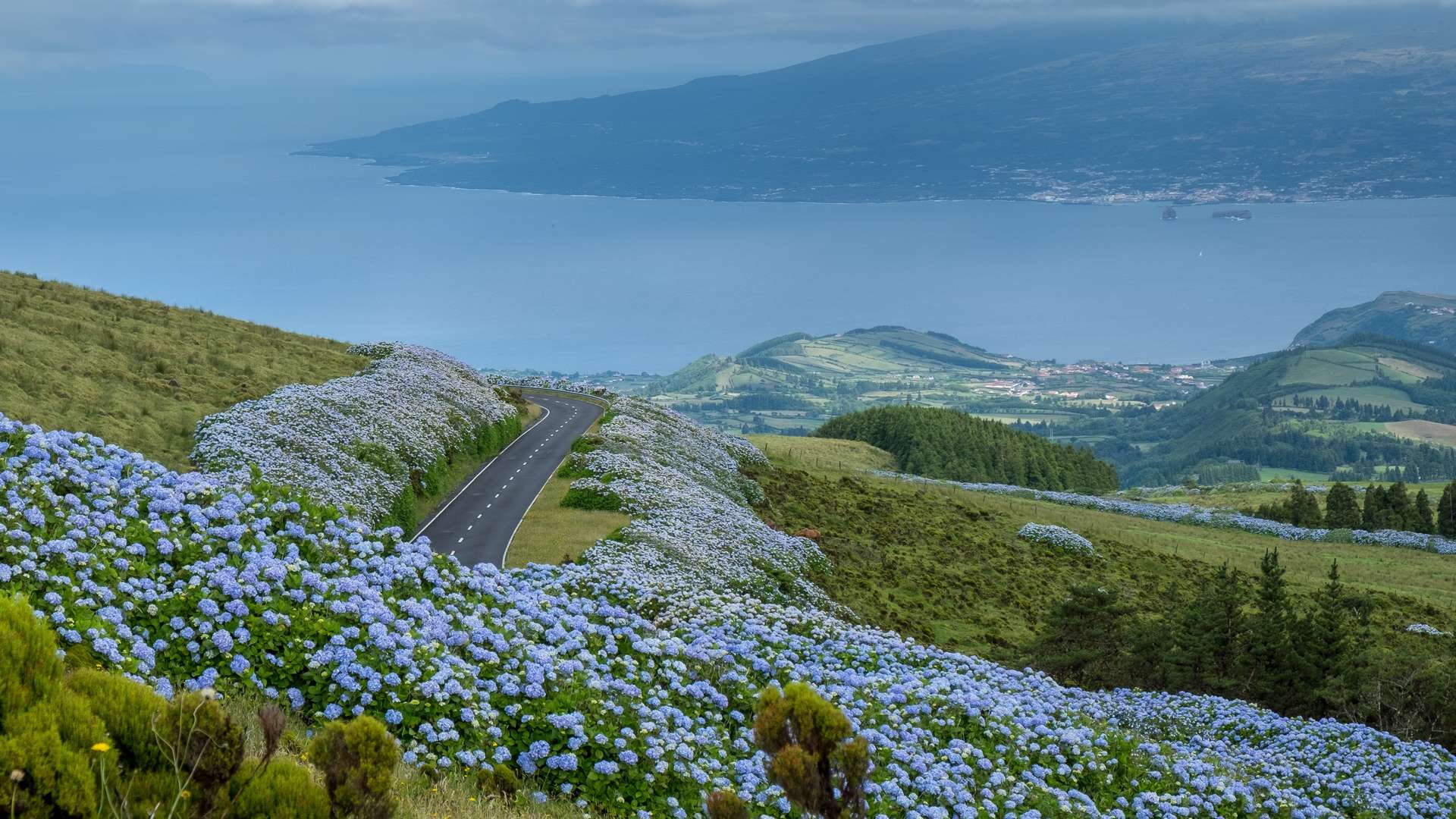 Faial met uitzicht op Pico