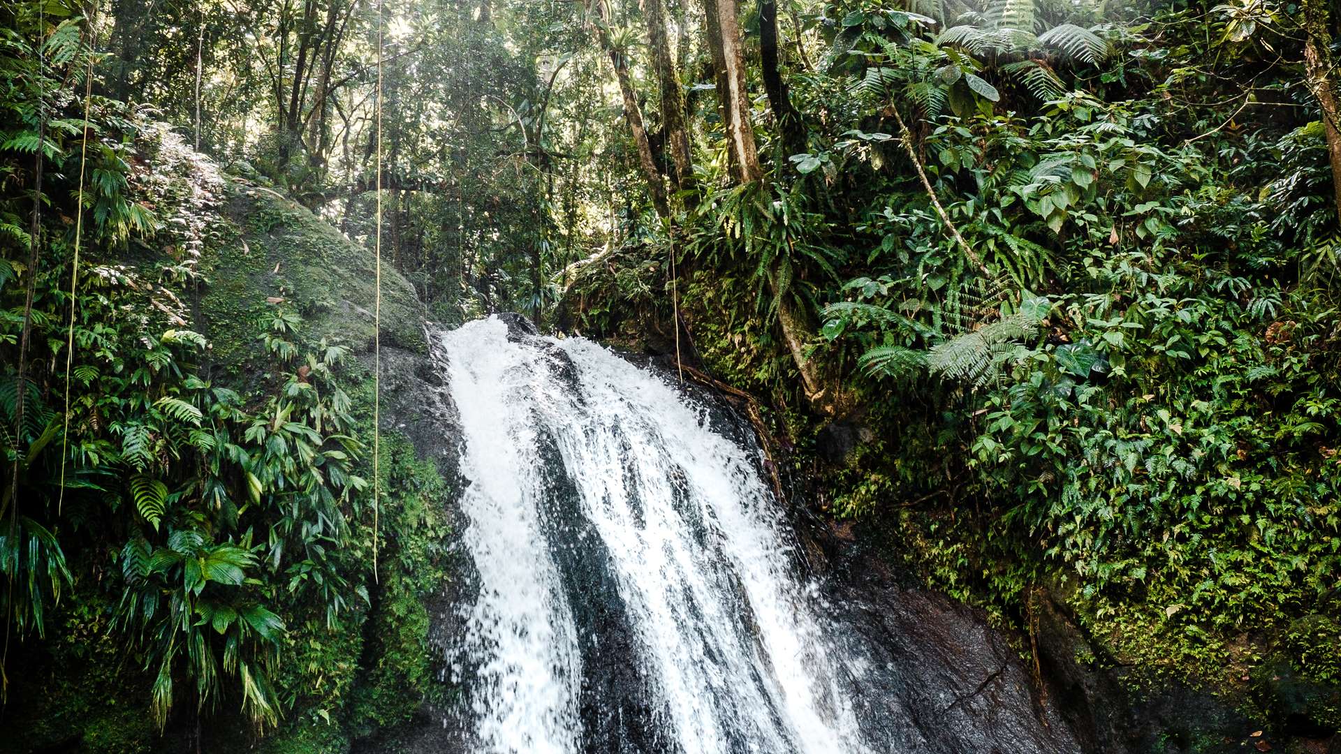 Watervallen in Guadeloupe