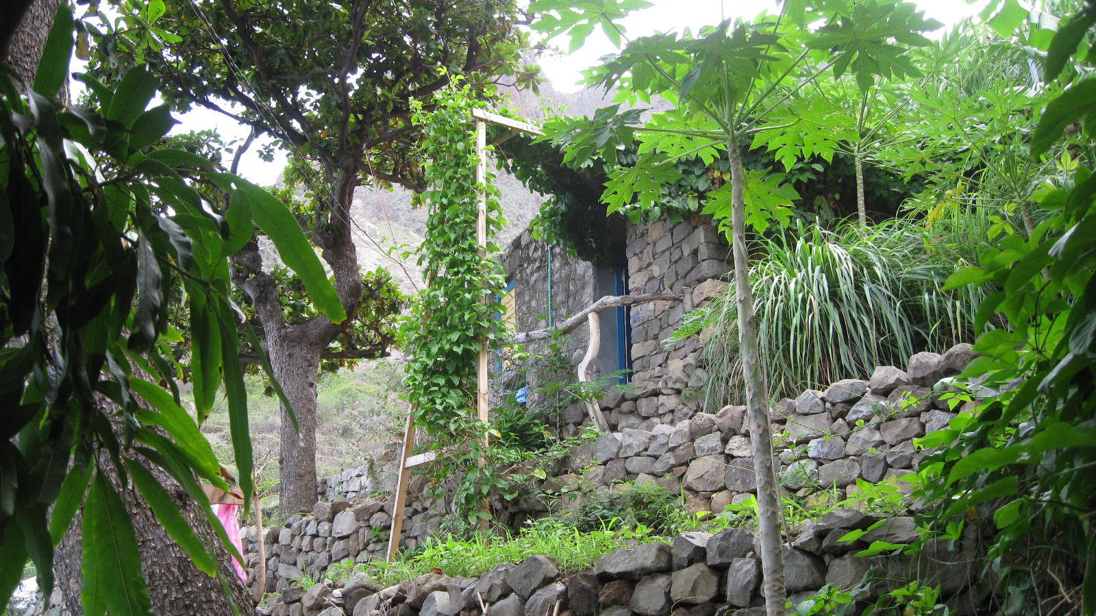 nova sintra