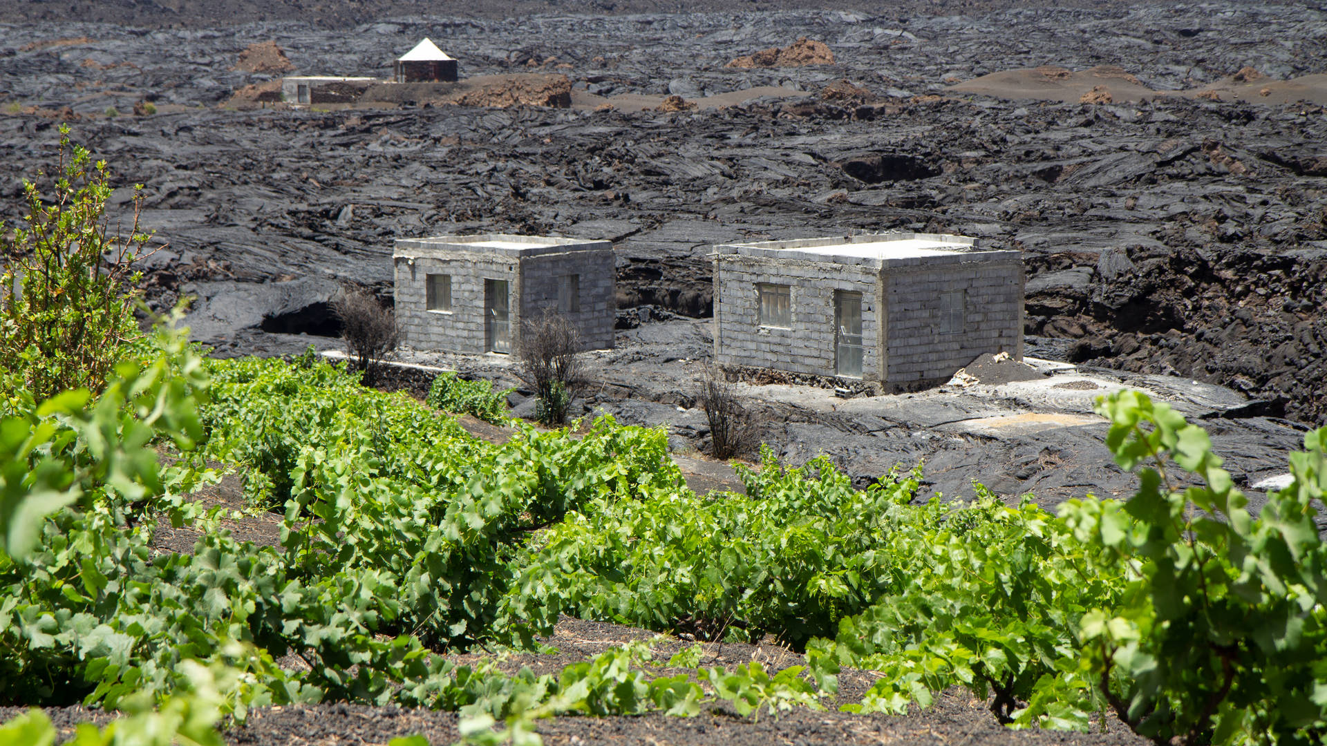 lava op Fogo - Evi Hanssen in Kaapverdië (deel 3)