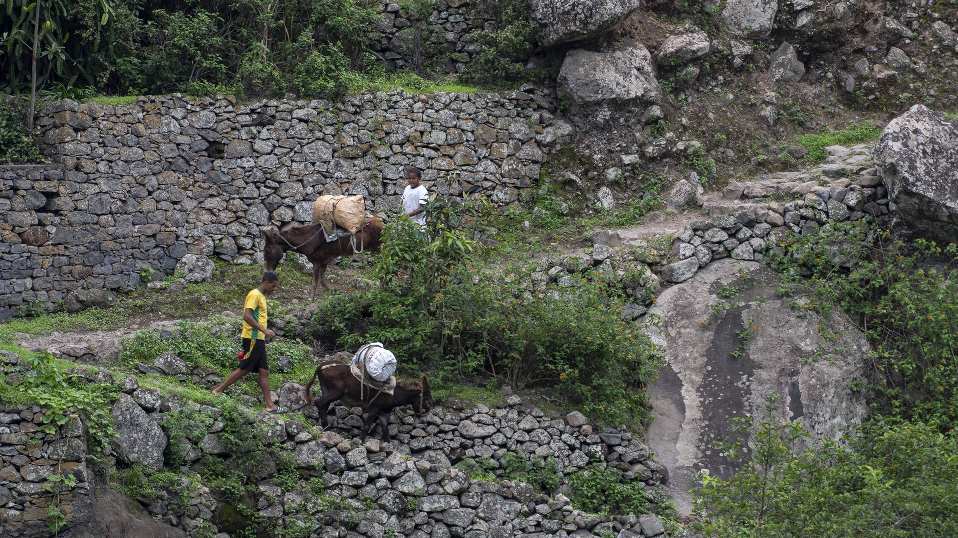 wandelingen santo antao ezels