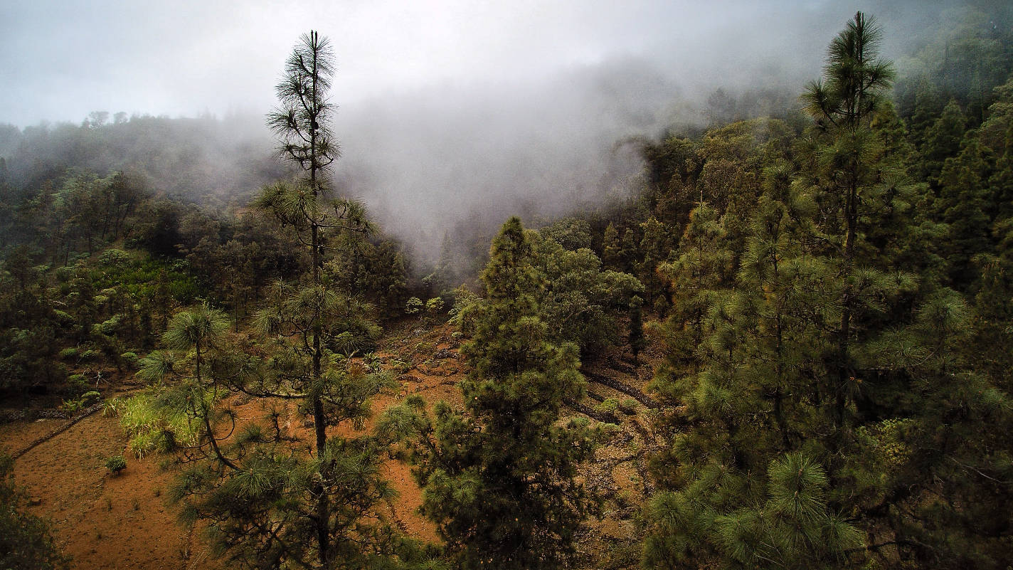 Landschap Sao Nicolau
