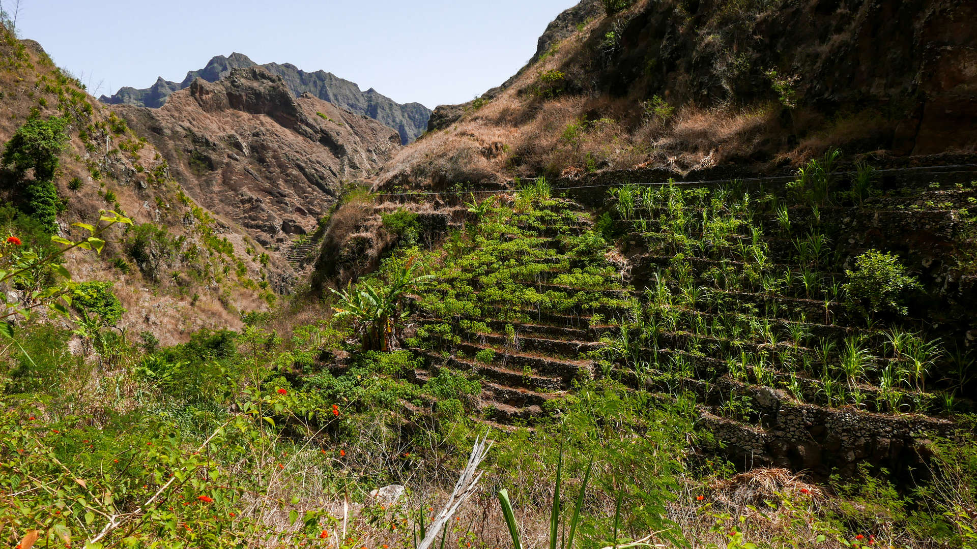 santo antao natuur