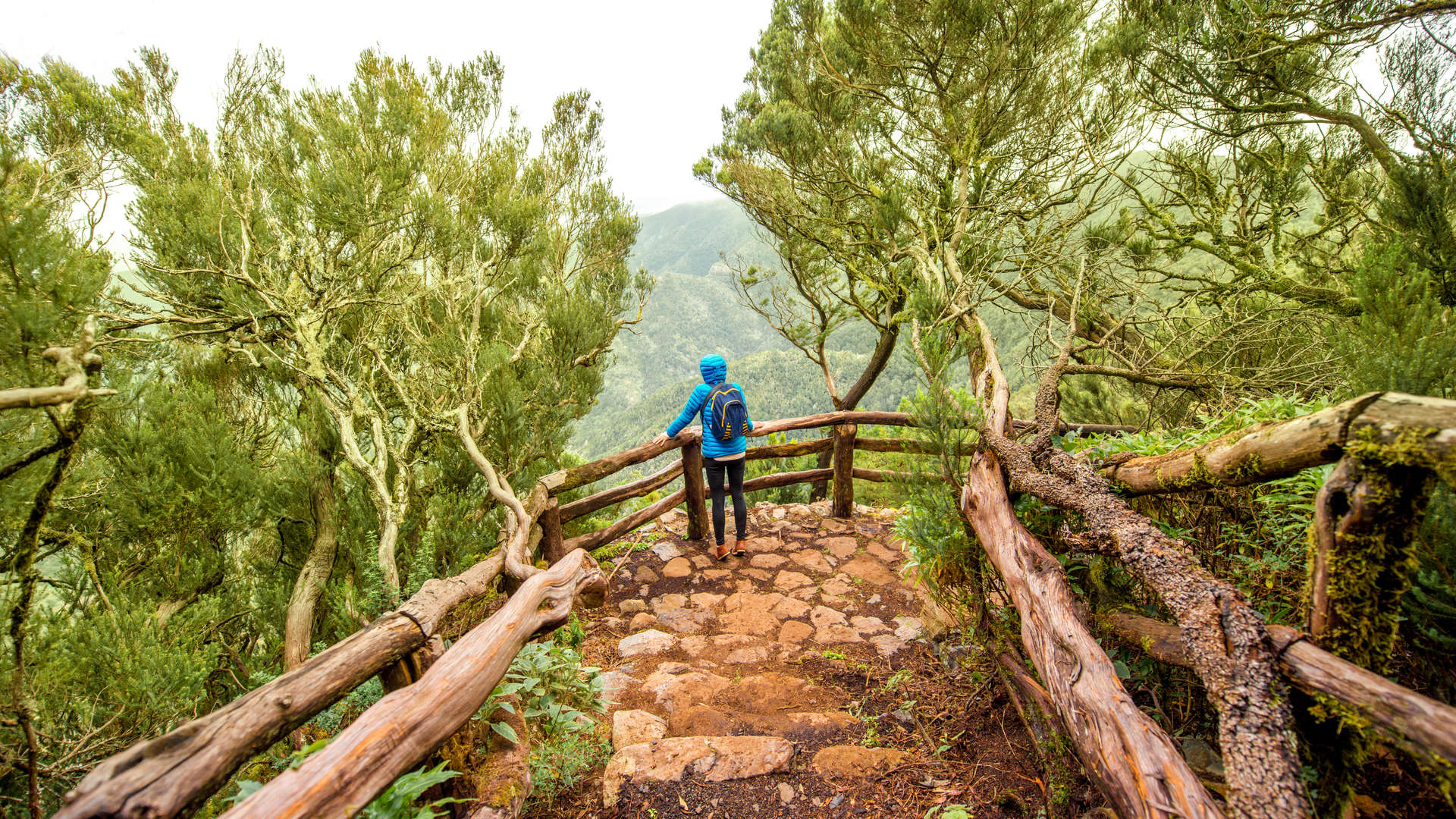 garajonay national park la gomera