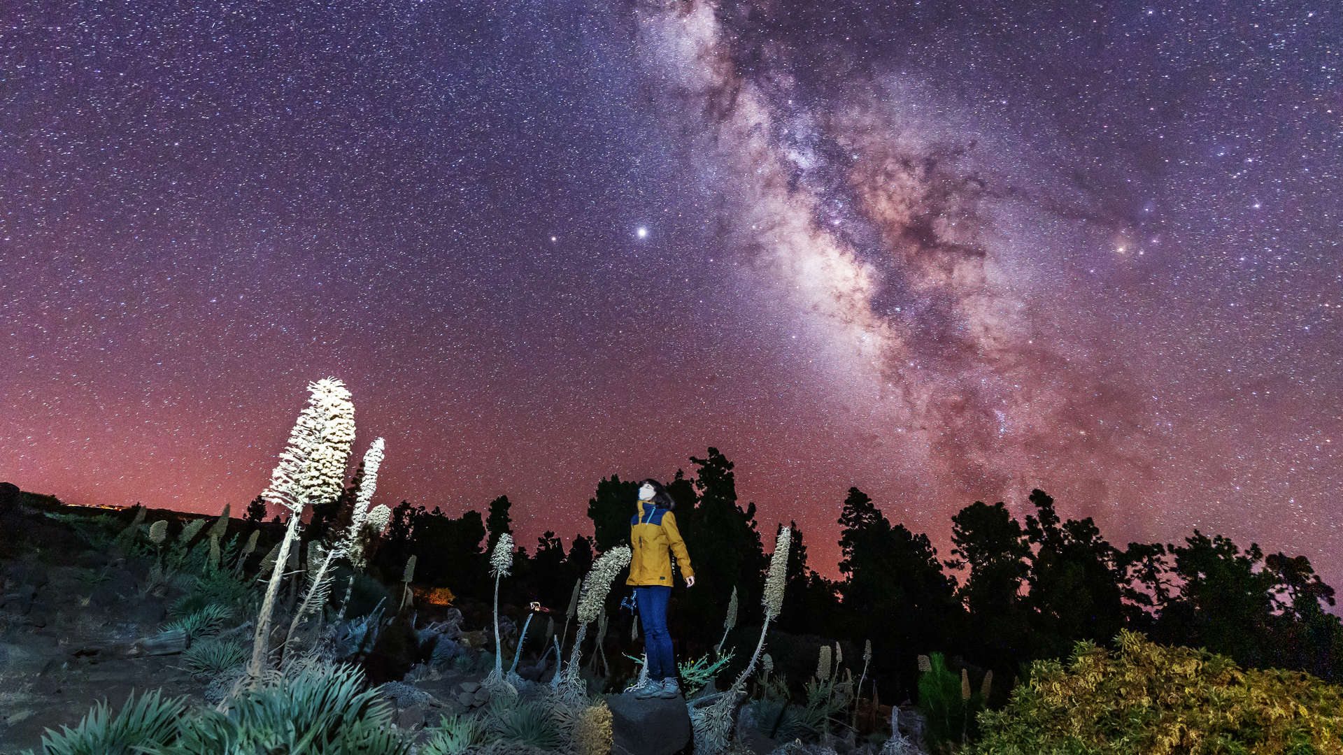 Sterren kijken op la palma