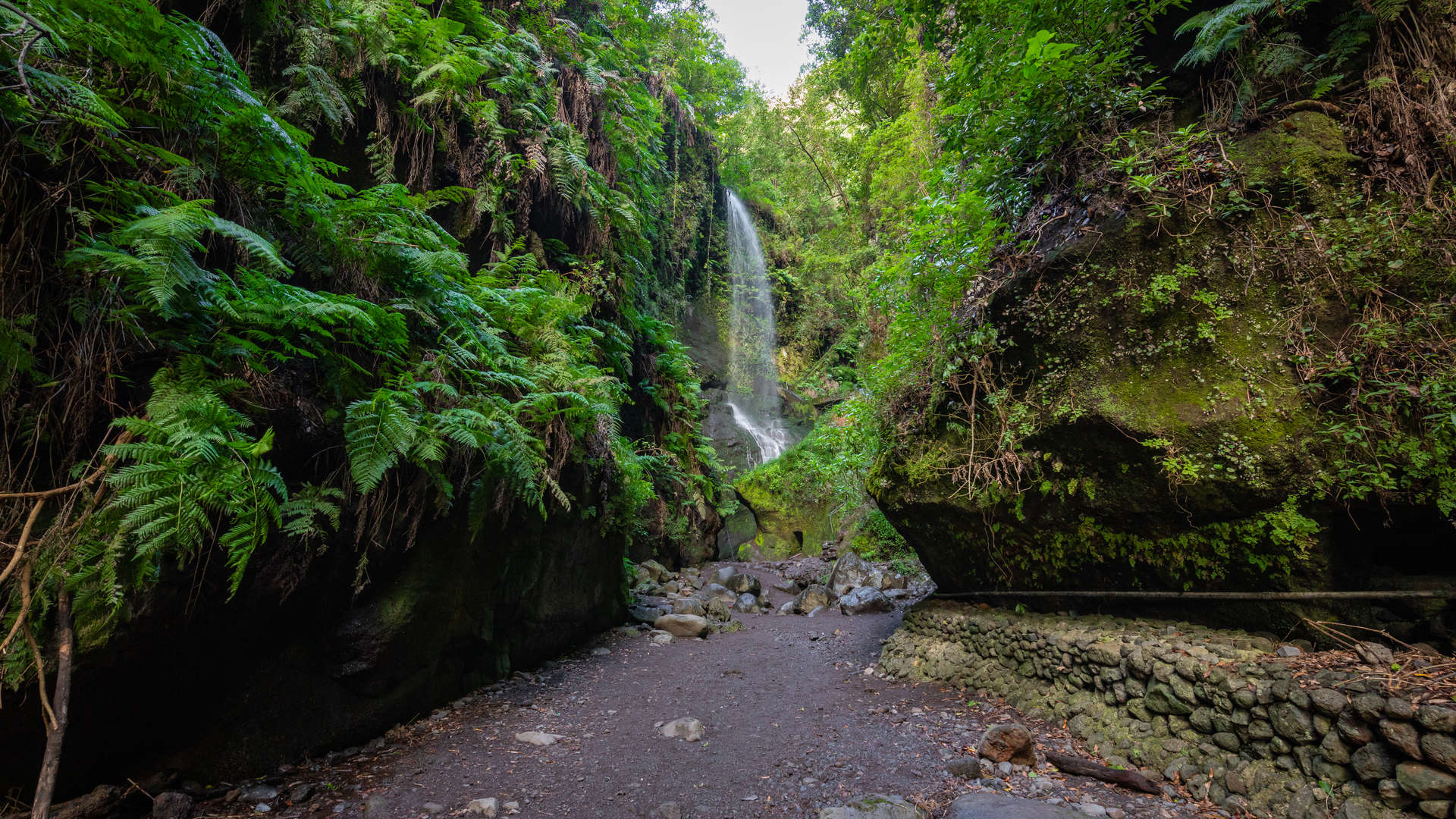 Los Tilos waterval
