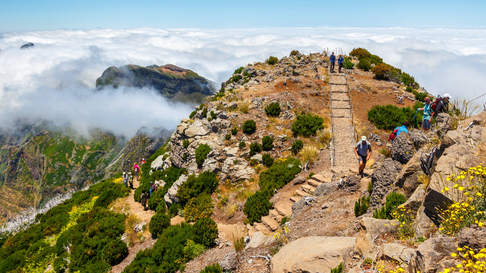 trip naar madeira