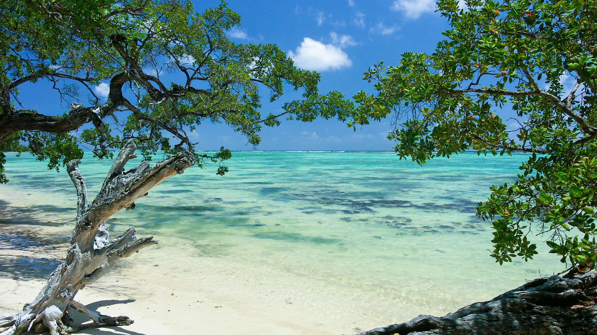 Marie Galante - Guadeloupe
