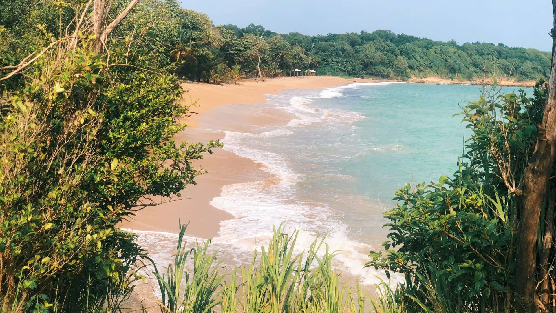 prachtige caribische stranden met reisorganisatie Voja