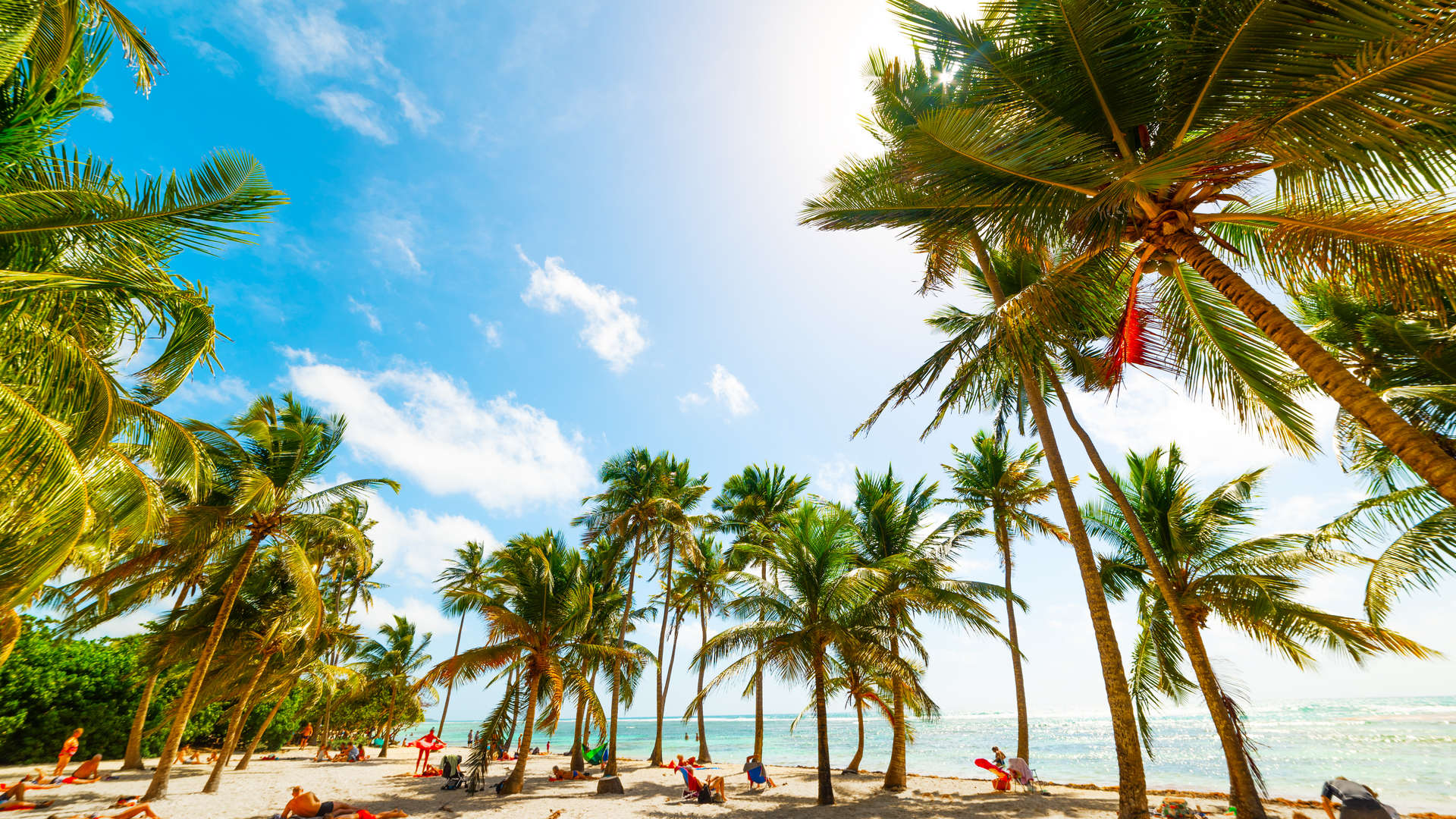 Reisinformatie Caribische eilanden