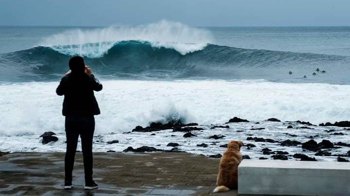 azoren surfen