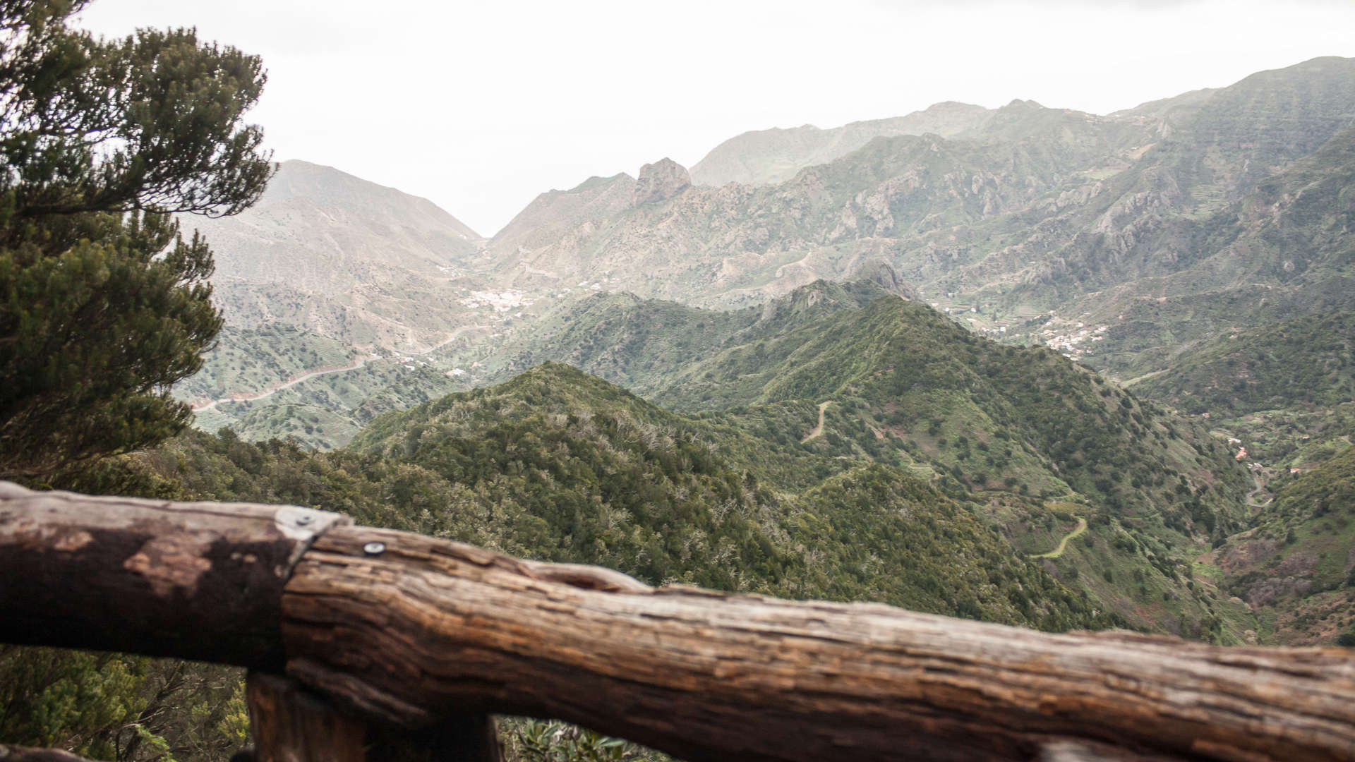 Wilde natuur op la Gomera