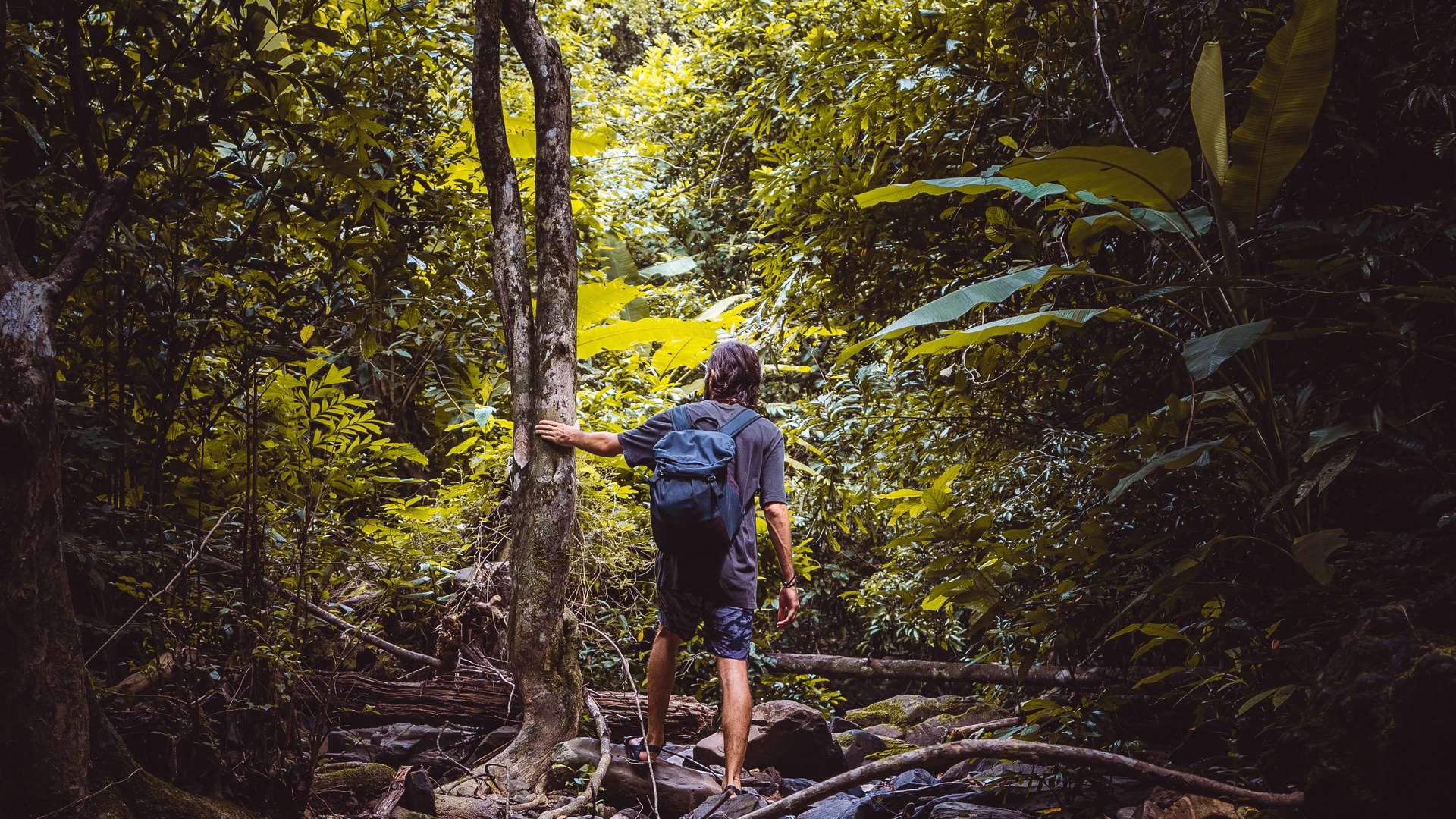 hiken door de jungle chiang mai