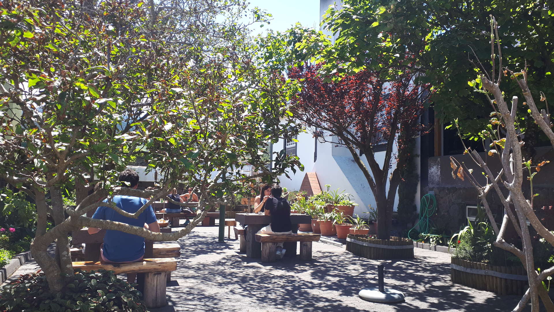 restaurant ceneta