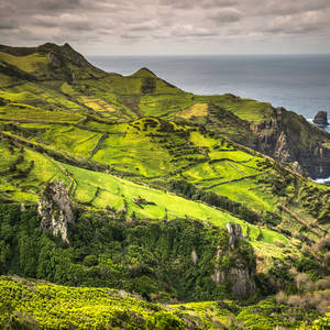 Flores landschap
